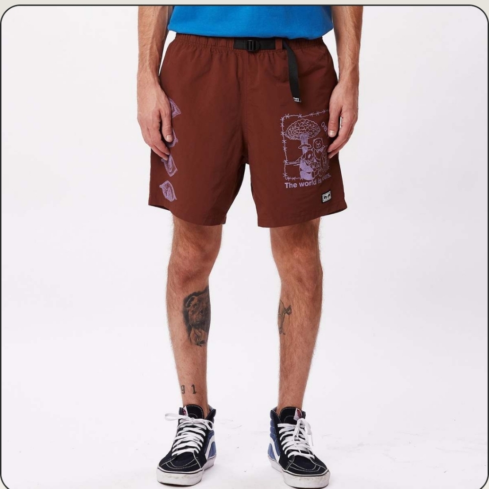 Obey brown eyes easy no time shorts cargo pants S
